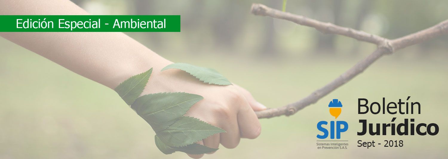 SIP Sistemas Inteligentes en Prevencion - Boletin